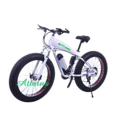 China 2640 Inch 500w Beach Snow Mountain Fat Tire Electric Bike