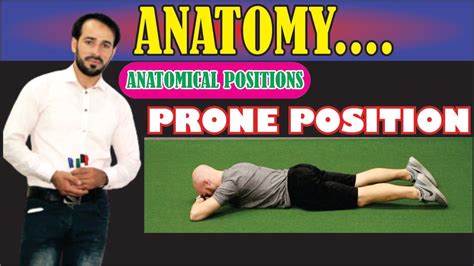 Prone Position Anatomical Positions Explained Practically Learn