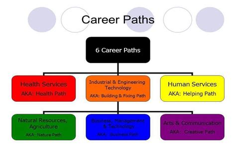 Health Service Career Paths - Perpetual Student - Knowledge Enhance vision