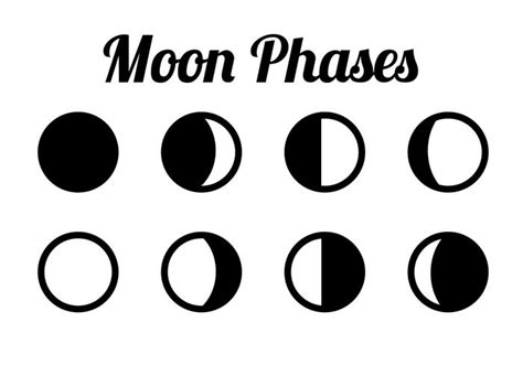 Moon Phases Clipart Set Svg File New Free Beautiful Calligraphy Fonts