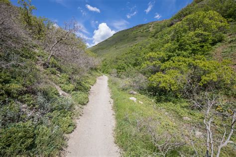 Dry Gulch Trail Healthy Trail Guides Intermountain Live Well