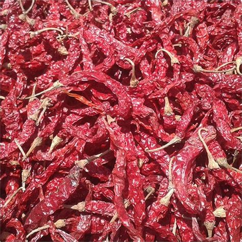 With Stem Byadgi Dry Red Chilli At Rs 170kg In Hyderabad Id