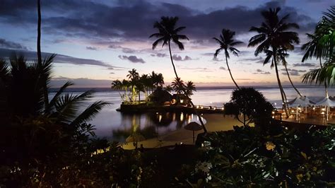Free Images Paradise Palm Tree Fiji Twilight Island Beach