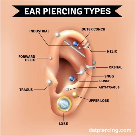 Professional piercers at piercing studios & tattoo shops. Ear Chart - Ear piercings map accessories ear piercing ...