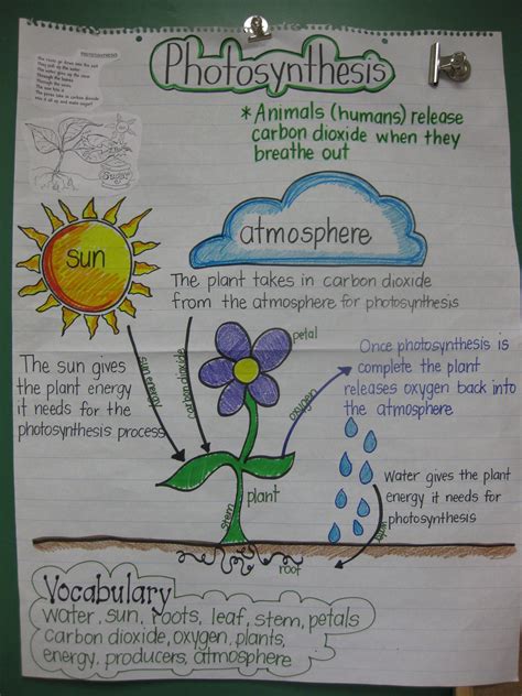 Pin By Annika On Science Science Anchor Charts 5th Grade Science