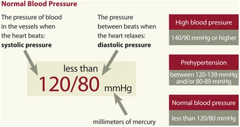 All About High Blood Pressure