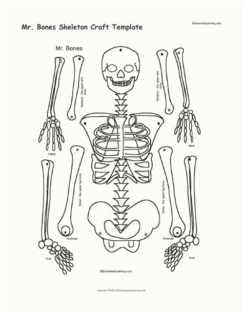 Mr Bones Skeleton Craft Template Enchanted Learning