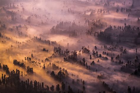 Photography Landscape Nature Trees Mist Top View Forest