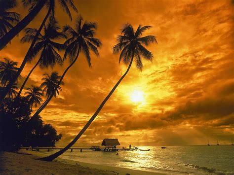 Pemandangan sunset, pemandangan waktu senja, background video pemandangan, mentahan video pemandangan, polosan. PEMANDANGAN SENJA / SUNSET SCENERY - Okt. - All Best ...