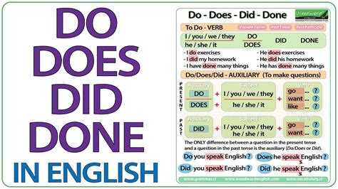 Use Of Do Does Did Done Doing In English Grammar With Example English