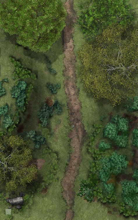 Image Result For Dnd 5e Forest Map Forest Map Fantasy Map