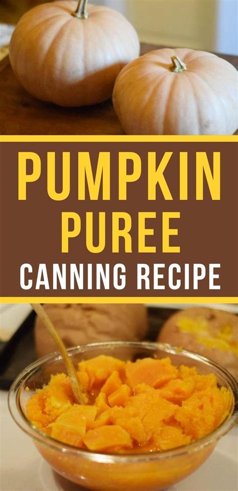 Using the same method, you can make 1 to 6 pints depending on how many tomatoes you have on hand. How to Make Pumpkin Puree · Hidden Springs Homestead ...