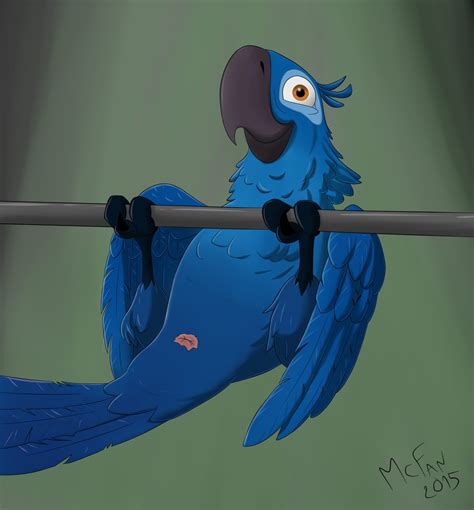 Rule 34 2015 Animal Genitalia Anus Avian Bar Beak Bird Blu Rio Blue