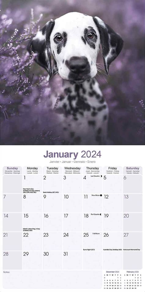 Dalmatian Puppies Calendar Dog Breed Calendars Pet Prints Inc