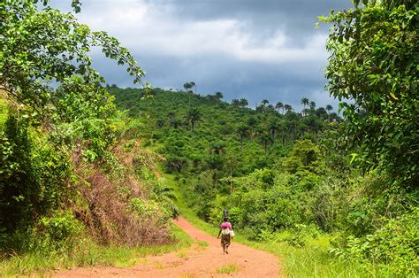 Contemplate The Rich Landscape Of Sierra Leone This Beautiful