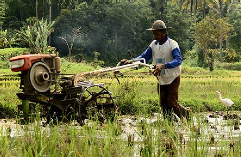 What Is The Difference Between Traditional Agriculture And Modern