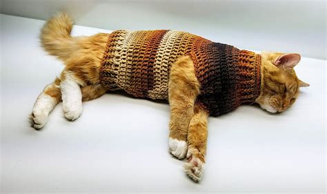crochet cat sweater stevens striped sweater crochet pattern etsy cat sweater pattern cat