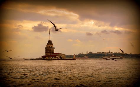 Masaüstü 1920x1200 Piksel İstanbul Manzara Deniz Martılar Gün