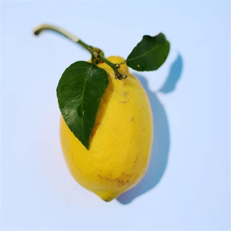 Lemon Imported 1kg Duka Chap Chap