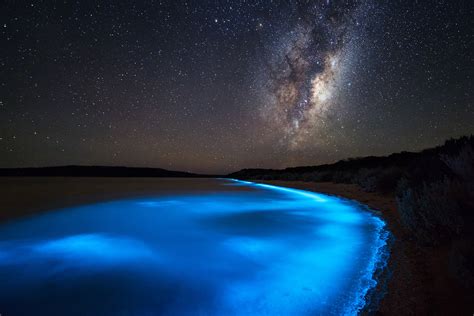 Bioluminescent Phytoplankton And The Milky Way Galaxy Earth Blog