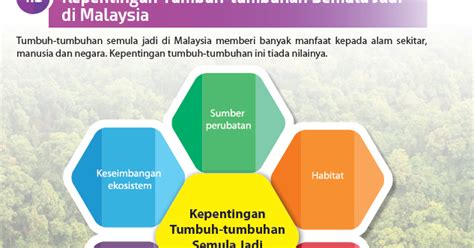 GEOGRAFI TINGKATAN 3 KEPENTINGAN TUMBUH TUMBUHAN SEMULAJADI DI MALAYSIA