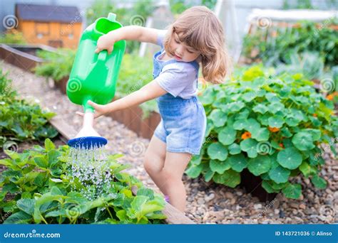 Adorable Girl Watering Plants In The Garden Stock Photo Image Of Help