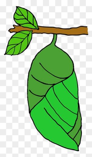 Multiple sizes and related images are all free on clker.com. Green, Outline, Drawing, Leaf, Cartoon, Free, Color - Leaf ...