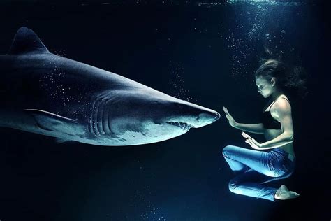 Woman Hai Great White Shark Underwater Sea Shark Attack Human