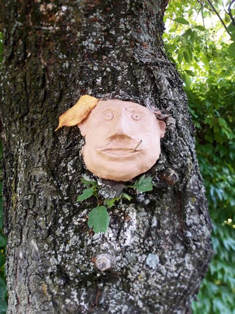 Ein Gesicht Im Baum Foto And Bild Abstraktes Natur Kreativ Formen