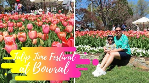 Bowral Tulip Time Festival Youtube