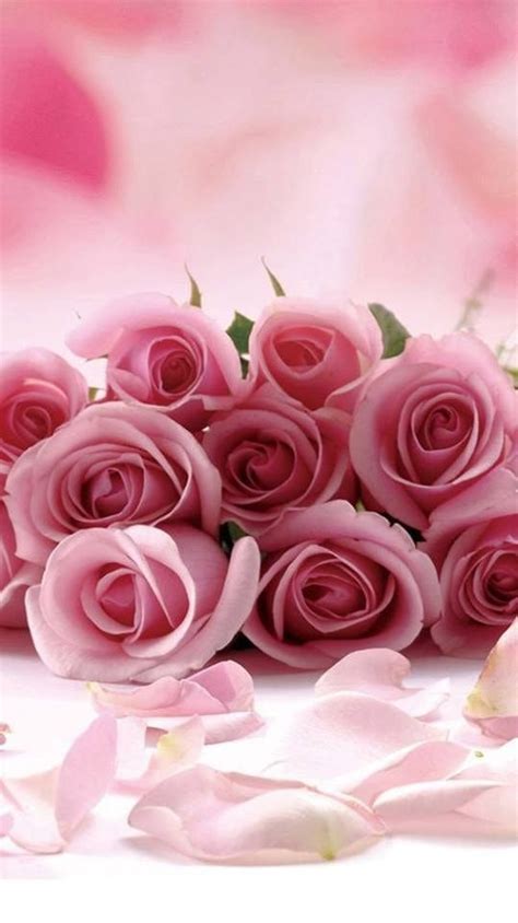 Pin By Mia Mov On Tapety Pink Flowers Love Flowers Flowers