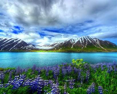 Lake Flowers Nature Mountain Sky Wallpapers Wallpapers13