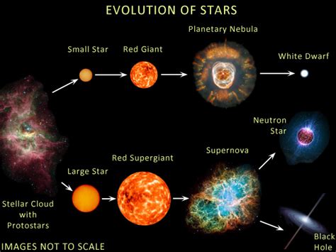 What Is The Life Cycle Of A Star From Birth To Death Socratic