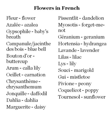 Cute French Words Useful French Phrases French Words Quotes Pretty