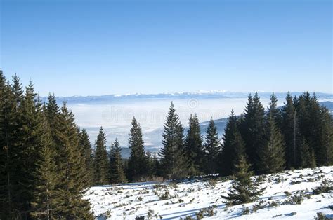 Winter Panoramic Landscape Stock Image Image Of Veiw 48945561