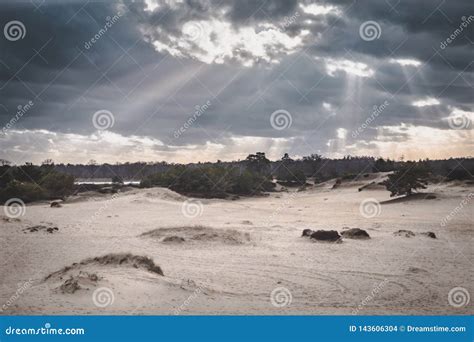 Sun Bursting Through Clouds Over Bare Dune Landscape With Pine Trees