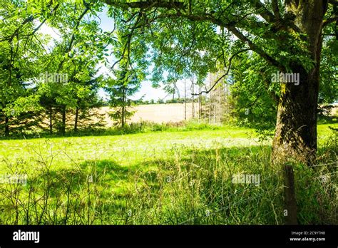 Landscape Of The Cotswolds In Beautiful Summer Sunshine Uk Stock Photo