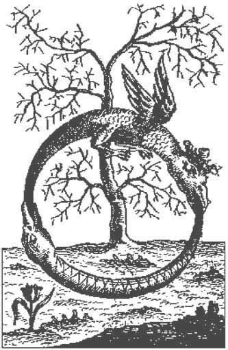 Ouroboros And Tree Of Life The Ouroboros Is An Ancient Symbol Depicting