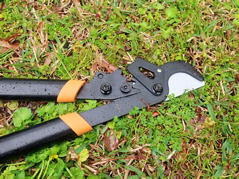 Fiskars Garden Tools Review Tools In Action Power Tool Reviews