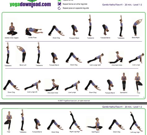 Morning Yoga Sequence Pastorchampion