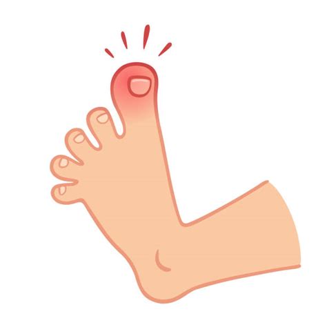Clip Art Of Toes 20 Free Cliparts Download Images On Clipground 2023
