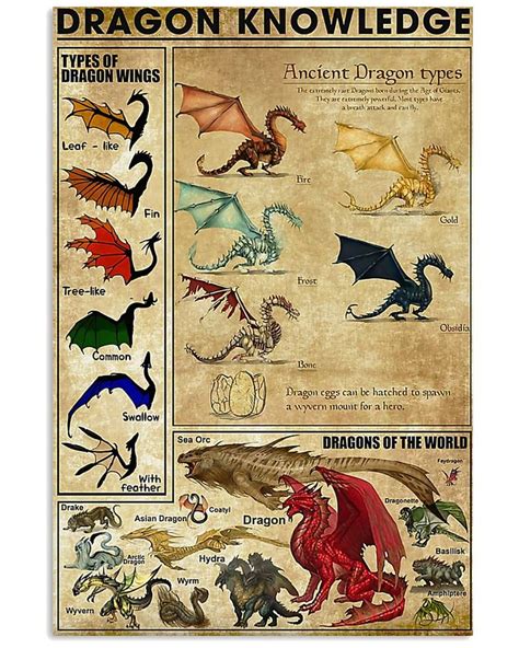 A Poster With Different Types Of Dragons And Their Names On It