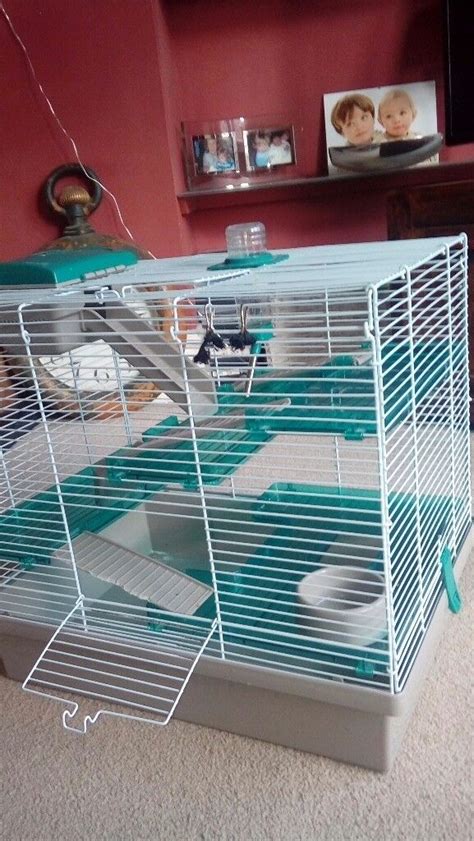 Rosewood Pico Extra Large Hamster Cage In Langside Glasgow Gumtree