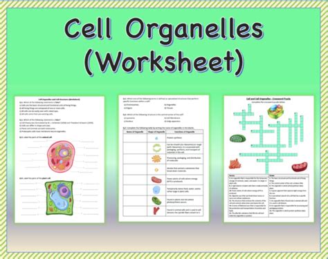 Cell Organelles Worksheet Printable And Distance Learning Made By
