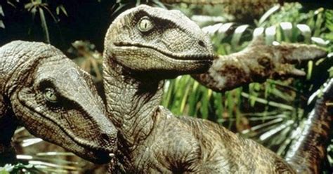 Ranking Jurassic Park Movies By The Best Velociraptor Scenes We Are