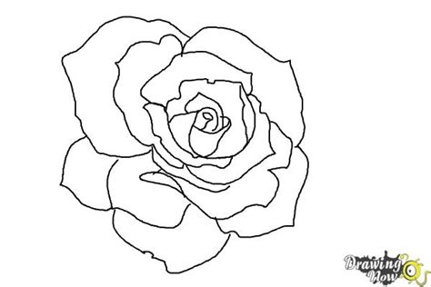 And now, to make our drawing more voluminous, we simply add some shadows to the rose. How to Draw an Open Rose - DrawingNow