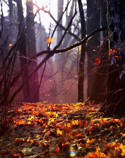Magic Autumn By Esoragotka On Deviantart Autumn Beautiful Wallpapers