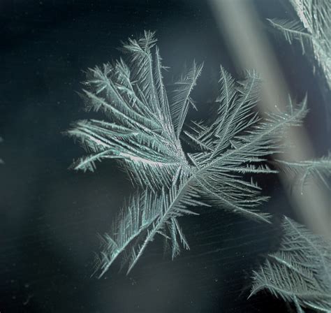 Ice Crystals On Glass2487 On The Very Cold Morning Of 3 F Flickr