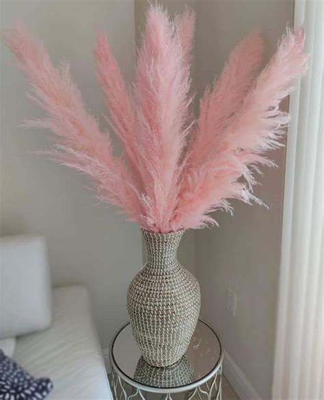 6 Stems Tall Pampas Grass 3 4ft Grand Sale Dry Florals For Etsy