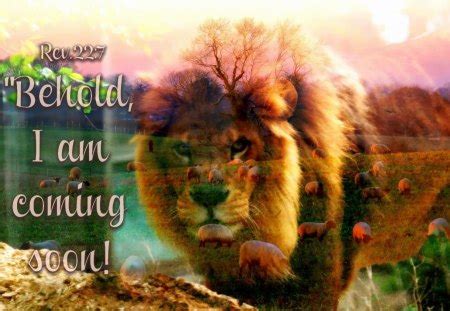 Jesus didn't come to start a religion.he came to have a relationship with you.jesus didn't say to follow christianity via religion he said follow me. BEHOLD!!! - Cats & Animals Background Wallpapers on ...